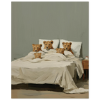 1259fa6c-bae3-4330-9d2c-8527bb956514