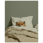 19ae4b7c-d77e-43c5-85ef-8e74c4046250