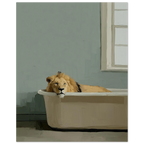 6dcf7fb2-5f4f-4191-806d-030b9b79f4ea