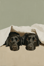 Under Cover
